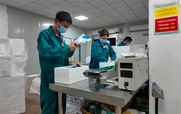 皖黟縣：臭鱖魚(yú)成「俏年貨」