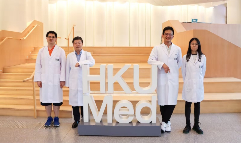 港大醫(yī)學(xué)院揭細胞微管新機制 助提升抗癌化療藥效