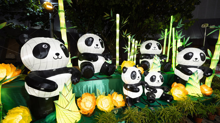 香港文化中心今日起舉辦元宵綵燈會(huì) 可愛熊貓俏皮松鼠與市民共慶新春