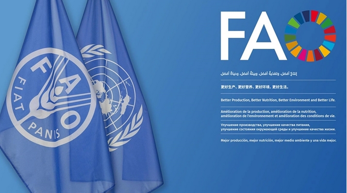 聯(lián)合國糧農(nóng)組織食品價格指數(shù)1月下行