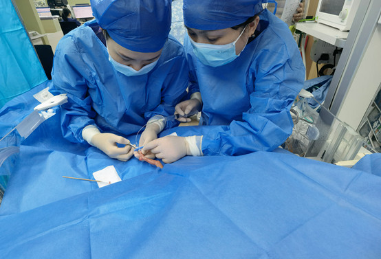 360克、22周+3 粵體重最輕超早產(chǎn)兒在深出生