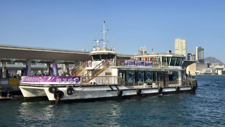 警方提子防騙海陸空活動(dòng) 為期一個(gè)月宣揚(yáng)防騙訊息