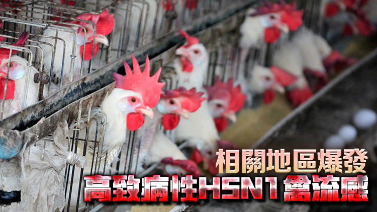 本港暫停進(jìn)口美國(guó)11州15縣禽肉及禽類產(chǎn)品