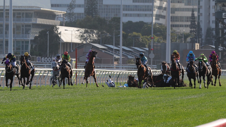 沙田馬場4位騎師墮馬 何澤堯未來24小時內(nèi)離開ICU