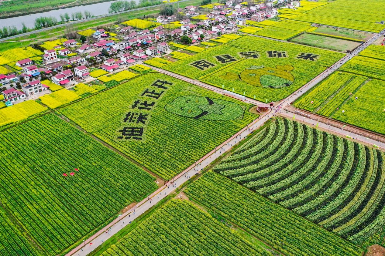 2025湖南南縣羅文花海半程馬拉松報(bào)名開啟