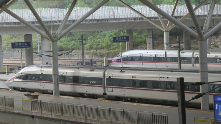 深圳鐵路到達(dá)旅客超700萬(wàn)人次 多項(xiàng)便民措施保障出行   