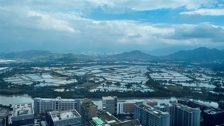 【來論】港澳在大灣區(qū)建設(shè)的光榮責(zé)任