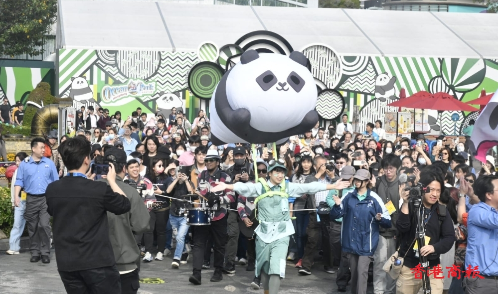 港產(chǎn)大熊貓BB首見公眾 數(shù)百人排隊(duì)等觀看