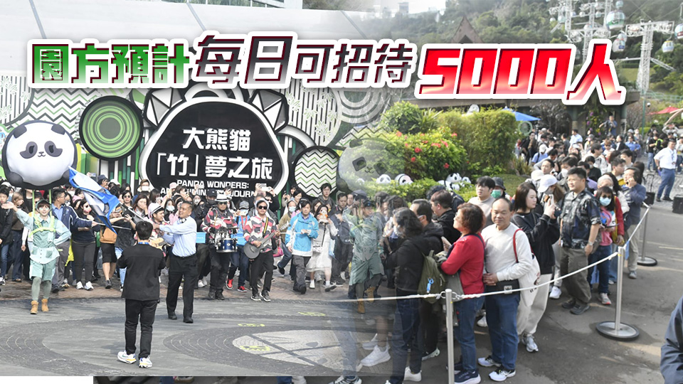 多圖丨港產(chǎn)大熊貓BB首見公眾 數(shù)百人排隊等觀看
