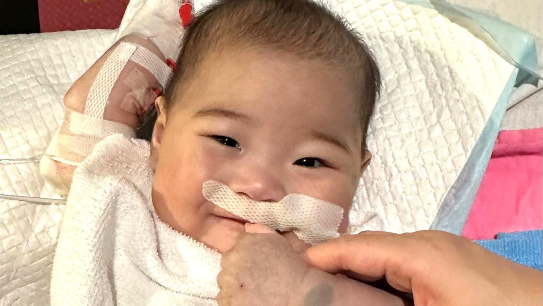 獲內(nèi)地跨境器官捐贈 女嬰祈祈完成心臟移植手術(shù)