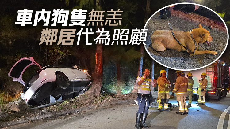 火炭私家車(chē)失控撞樹(shù) 司機(jī)疑酒後駕駛被捕