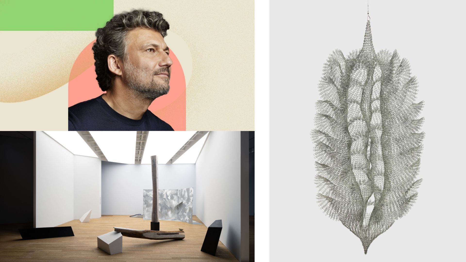 有片 | 雕塑藝術(shù)家用金屬絲交織自然萬物【一周港藝】香港文化藝術(shù)活動一周菜單（17/2-24/2）