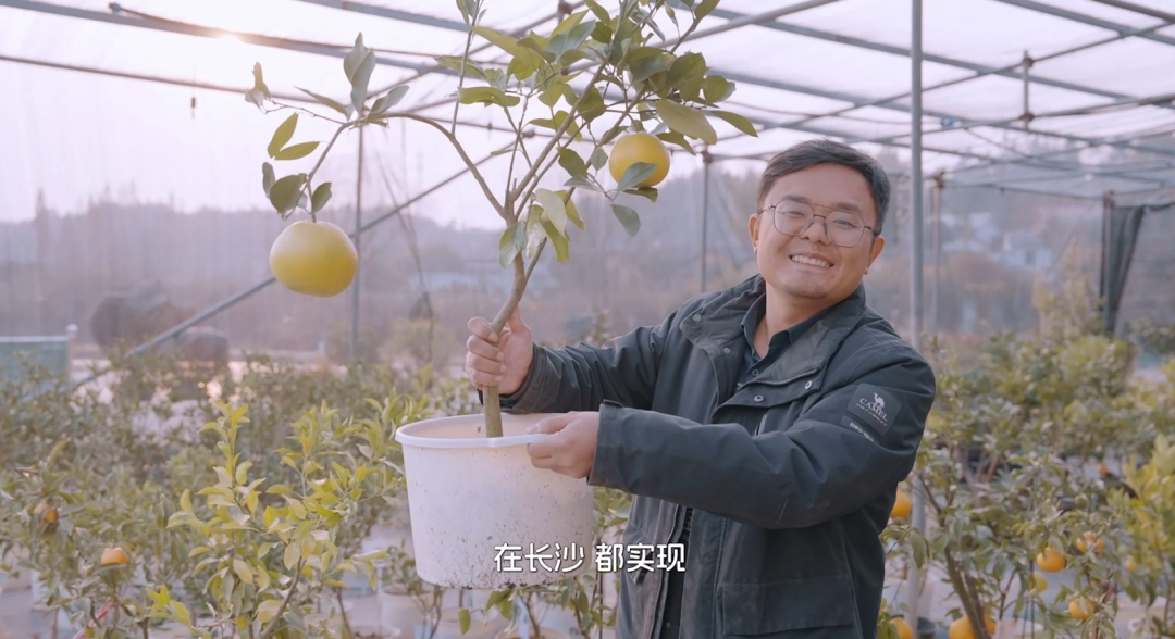 《在長沙 都實(shí)現(xiàn)》第十一集：長沙這片土壤，能種出什麼樣的果子？