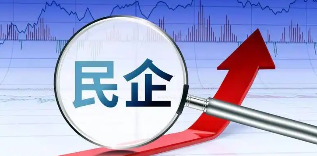 國家發(fā)展改革委：支持民營企業(yè)積極參與「兩重」建設和「兩新」工作 