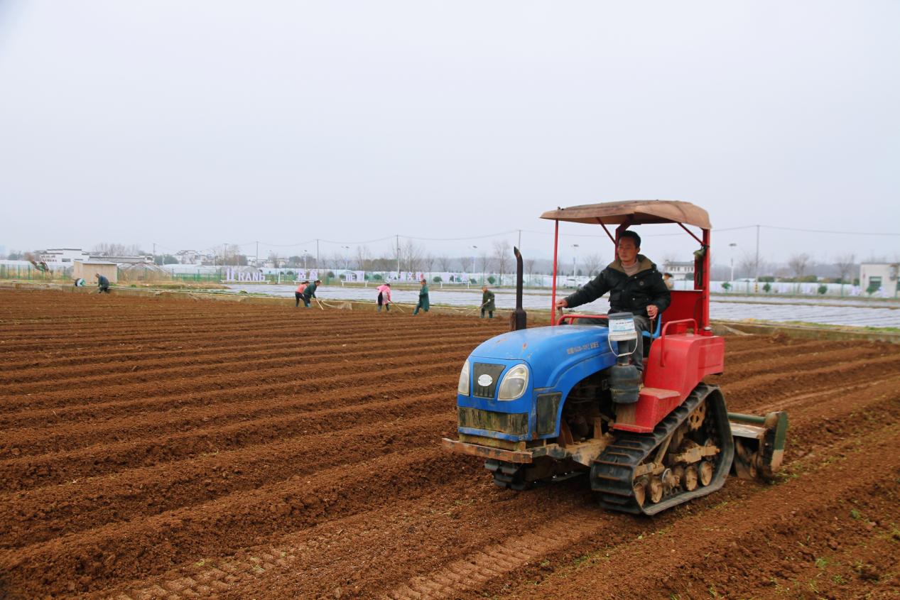 皖徽州區(qū)：下好春耕「先手棋」 打好種糧「主動仗」