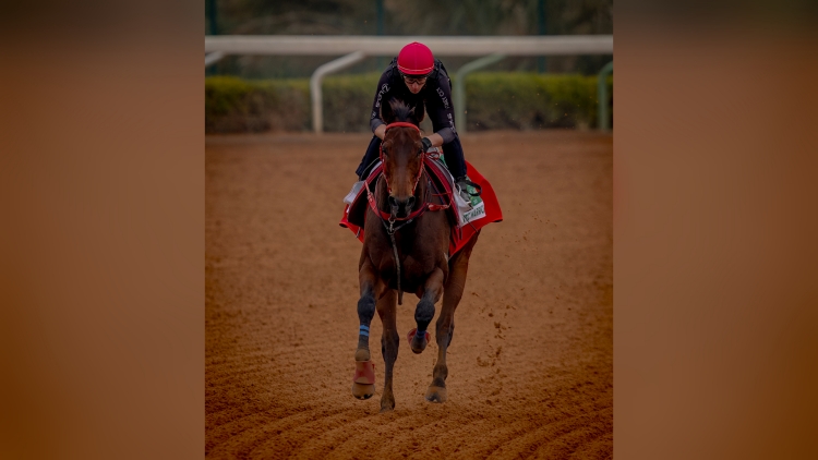 周六沙特盃 裝上抓地蹄鐵快跳 麥道朗:浪漫勇士準(zhǔn)備就緒