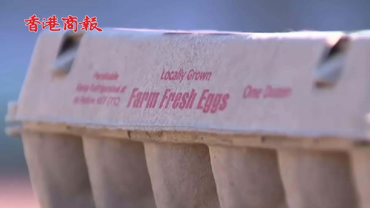 有片丨「現(xiàn)在雞蛋像黃金」 土耳其向美出口1.5萬噸雞蛋