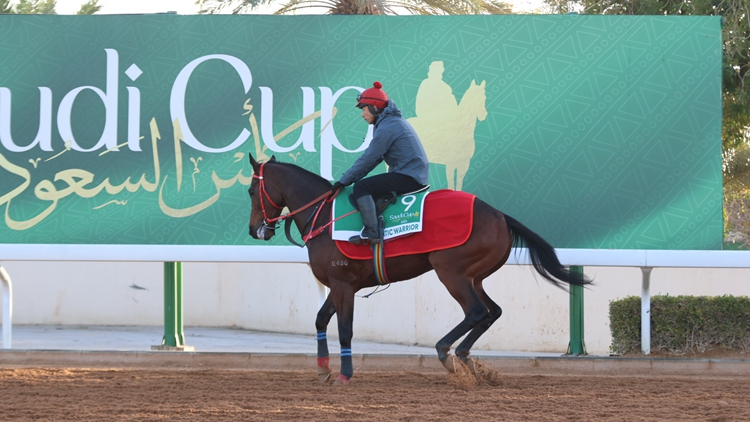 直擊沙特盃｜馬王「浪漫勇士」最後備戰(zhàn)有驚無險(xiǎn)
