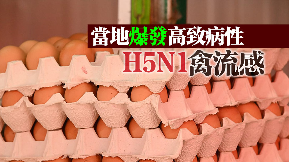 本港暫停進(jìn)口印度中央邦Chhindwara地區(qū)禽蛋