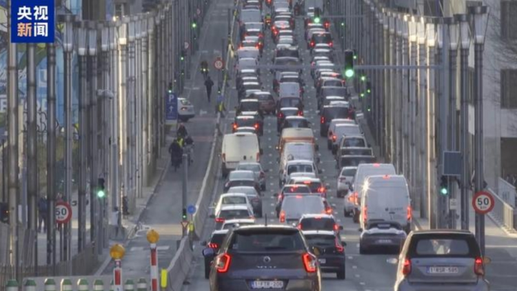 「這場衝突不會有贏家」 德國業(yè)界擔憂美國對進口汽車加徵關稅