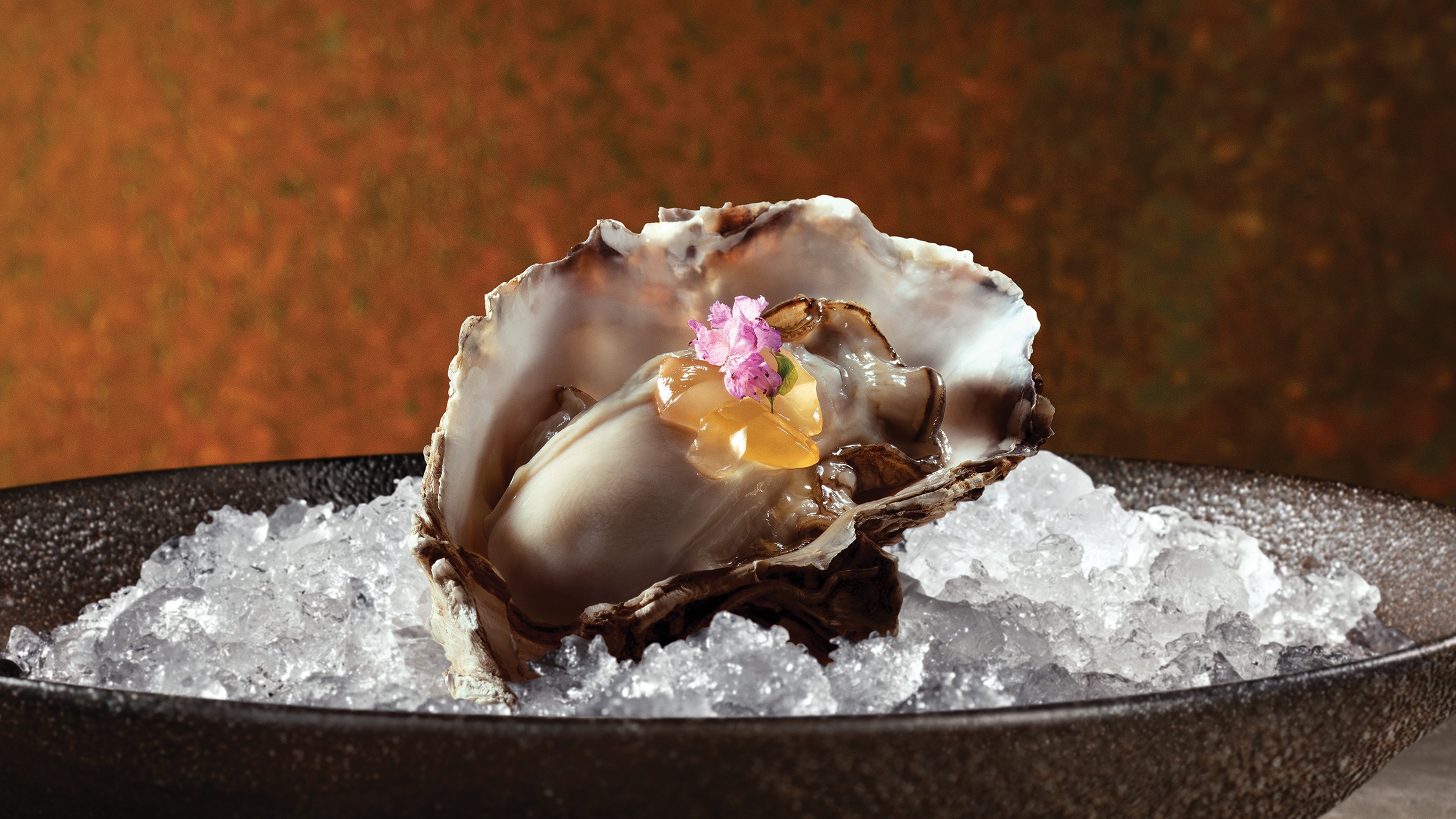 【美食】時(shí)令日本生蠔 鮮甜當(dāng)造