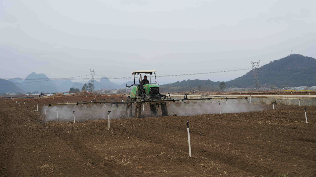 桂賀州鐘山縣春耕忙 保供灣區(qū)蔬菜品質(zhì)穩(wěn)定