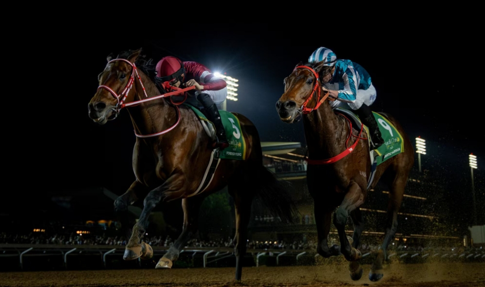 「浪漫勇士」首戰(zhàn)泥地一級賽勇奪沙特盃亞軍 累計總獎金破2億大關(guān) 