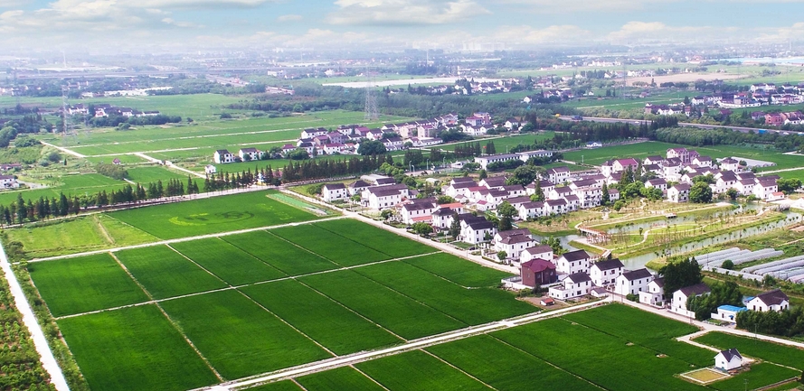 經(jīng)濟觀察丨中央一號文件發(fā)布 推進鄉(xiāng)村全面振興「落地見效」