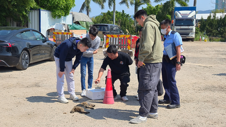 上水河上鄉(xiāng)虐殺花貓 警列殘酷對待動物案