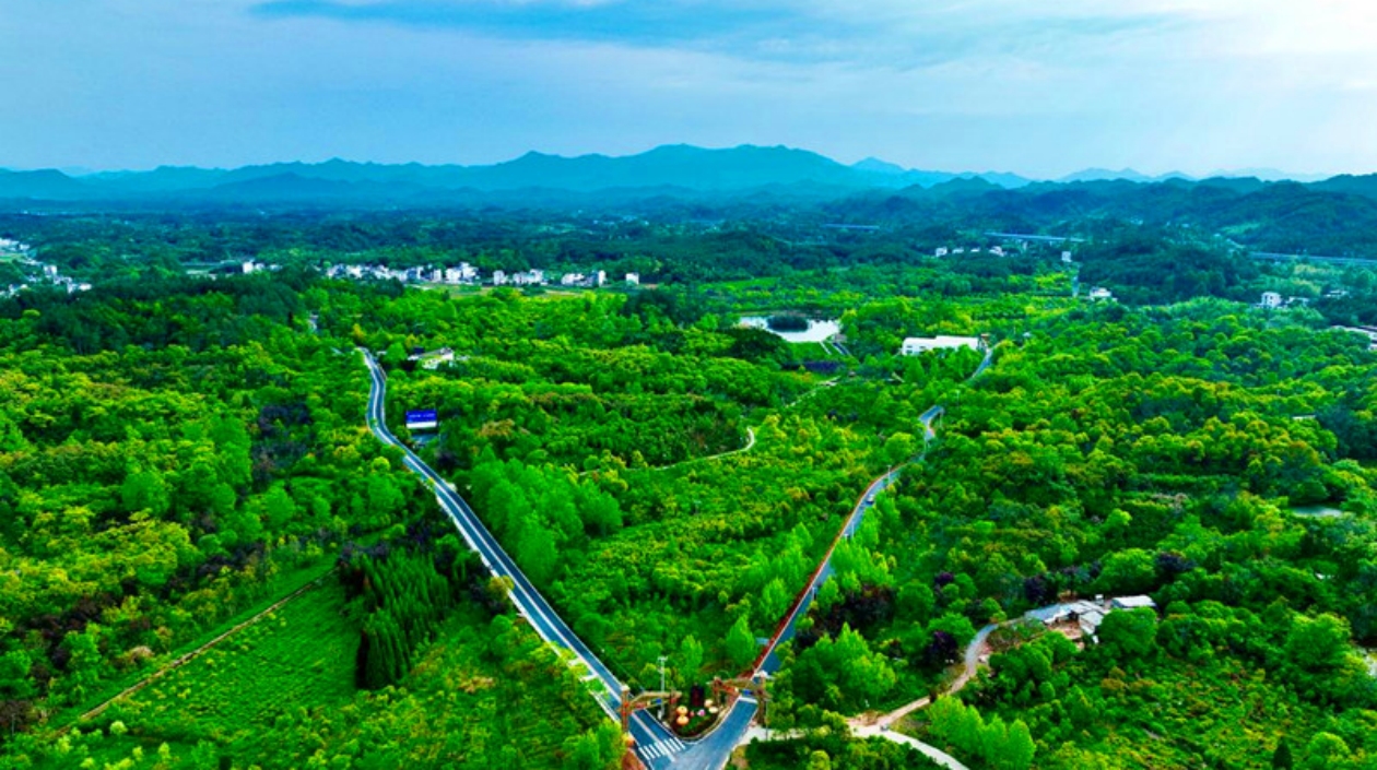 皖屯溪奕棋鎮(zhèn)：切實(shí)將黨建優(yōu)勢(shì)化為鄉(xiāng)村振興優(yōu)勢(shì)