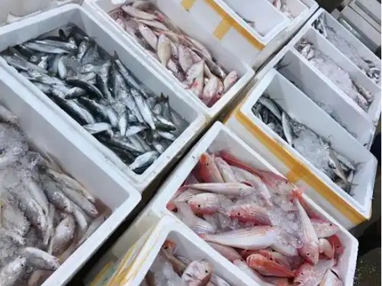 食安中心及漁護(hù)署公布最新日本進(jìn)口水產(chǎn)的檢測(cè)情況