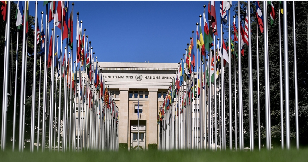 聯(lián)合國報(bào)告：反對針對巴勒斯坦的吞並和強(qiáng)行遷移 