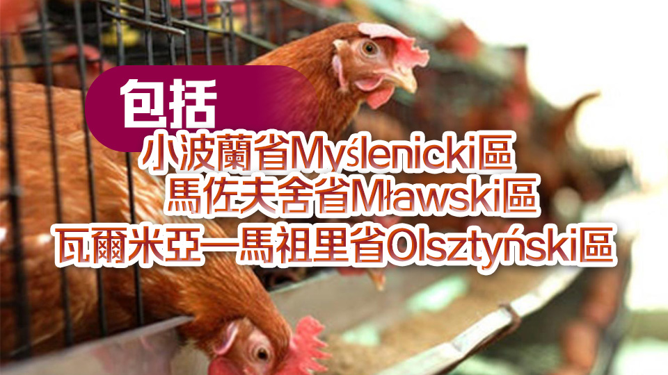 爆發(fā)高致病性禽流感 本港暫停進口波蘭多地禽肉及禽類產品