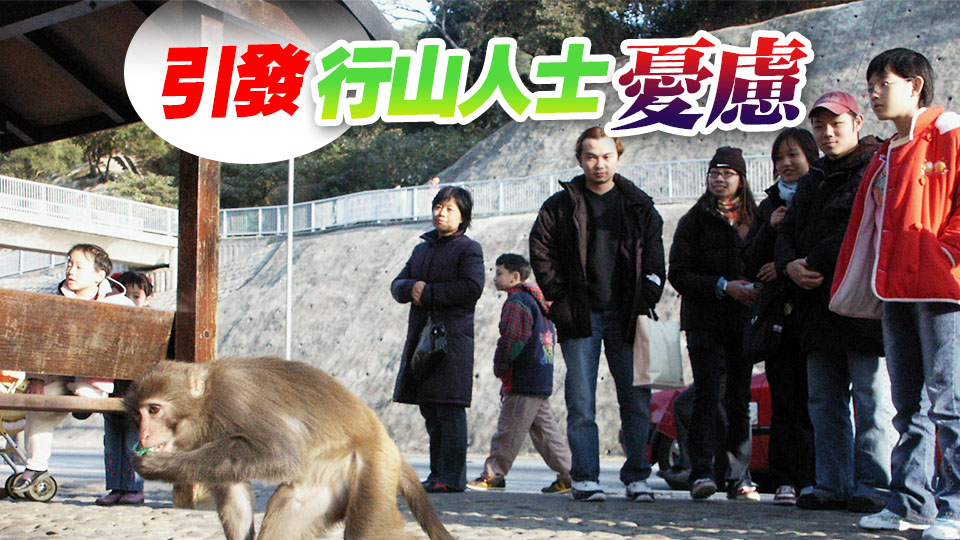 男子被猴子襲擊感染本港首宗猴皰疹病毒 約4個月後死亡