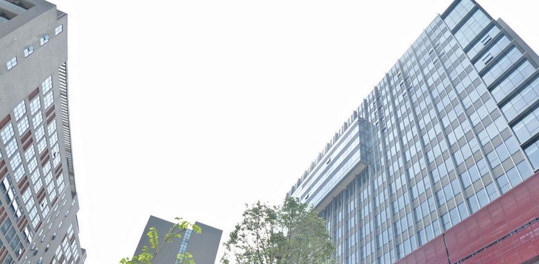 2024年中國日均新設(shè)企業(yè)2.4萬戶  新設(shè)外企增近一成