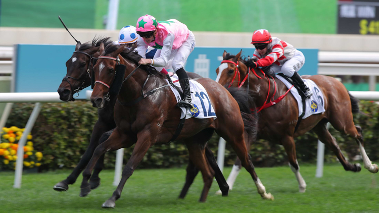 有片 | 幸運(yùn)芙蓉捧走仁愛堂盃 東張西望主持拉頭馬