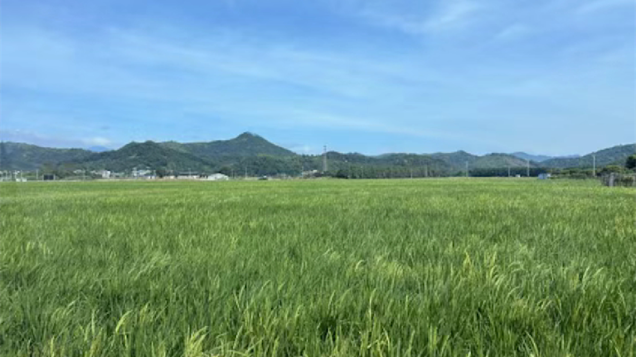 廣東中行4億金融支持護春耕