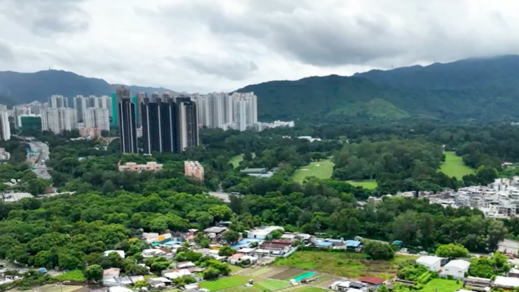 【港商時(shí)評】發(fā)揮市場力量 加速北都發(fā)展