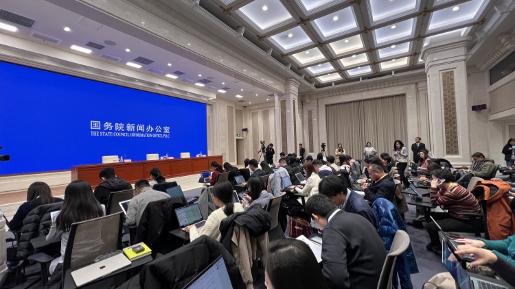 《政府工作報告》起草組負(fù)責(zé)人沈丹陽出席吹風(fēng)會解讀報告