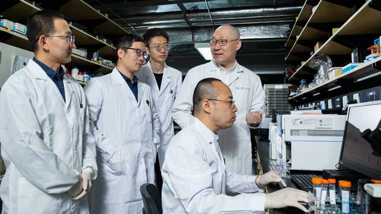 中國科學(xué)家首次揭示細(xì)菌治腫瘤關(guān)鍵原理