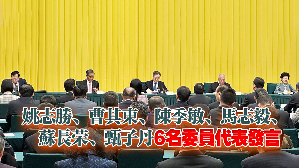 全國兩會｜丁薛祥參加港澳地區(qū)全國政協委員聯組會議