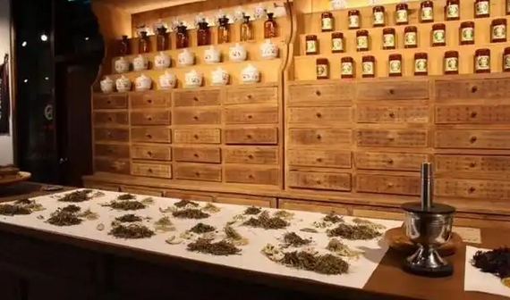 魏明德：推動建設(shè)京港傳統(tǒng)醫(yī)藥健康促進協(xié)同創(chuàng)新基地