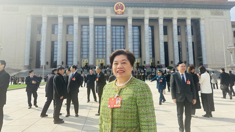 全國(guó)兩會(huì) | 顏寶鈴：發(fā)揮香港優(yōu)勢(shì)  發(fā)展跨境電商