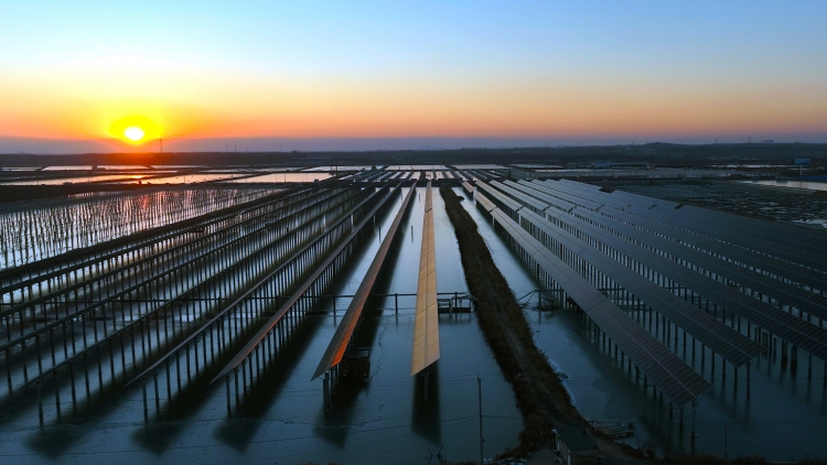 綠電服務助力大連「雙碳」實踐——國網大連供電公司創(chuàng)新服務賦能綠色發(fā)展