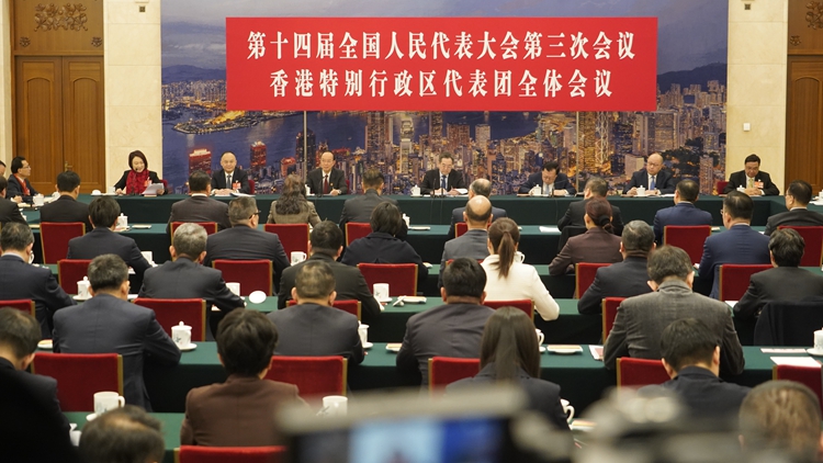 全國兩會(huì)｜丁薛祥參加港區(qū)全國人大代表團(tuán)審議