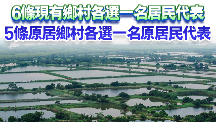 政府刊憲 11鄉(xiāng)郊代表席位需補(bǔ)選 候選人提名期為3月18日至31日