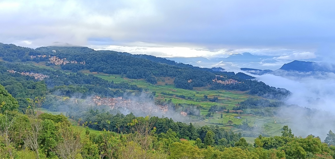 【長(zhǎng)在隨筆】走進(jìn)大歇村