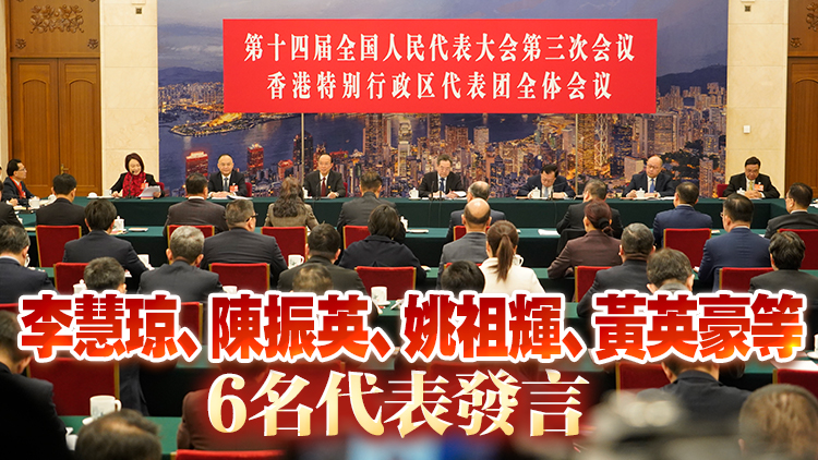 全國(guó)兩會(huì)｜丁薛祥參加港區(qū)全國(guó)人大代表團(tuán)審議