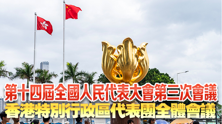 直播｜十四屆全國人大三次會(huì)議香港特區(qū)代表團(tuán)全體會(huì)議