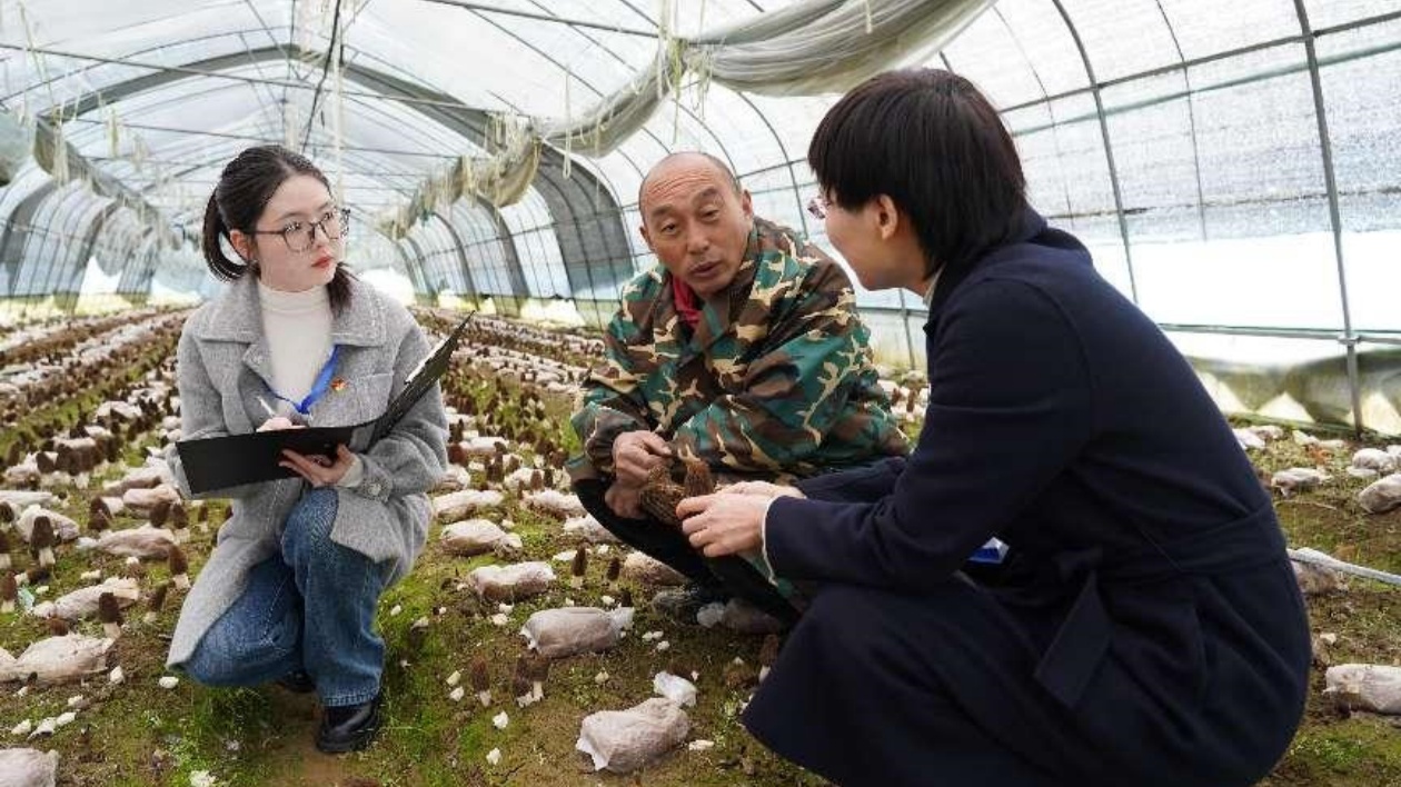 深入一線靶向監(jiān)督 皖屯溪區(qū)為產(chǎn)業(yè)發(fā)展注入「廉動(dòng)力」